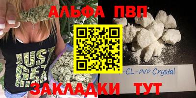 крисы Малгобек
