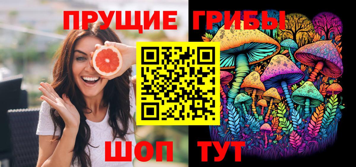 Элиста  Псилоцибиновые грибы мицелий  Вход с VPN 
