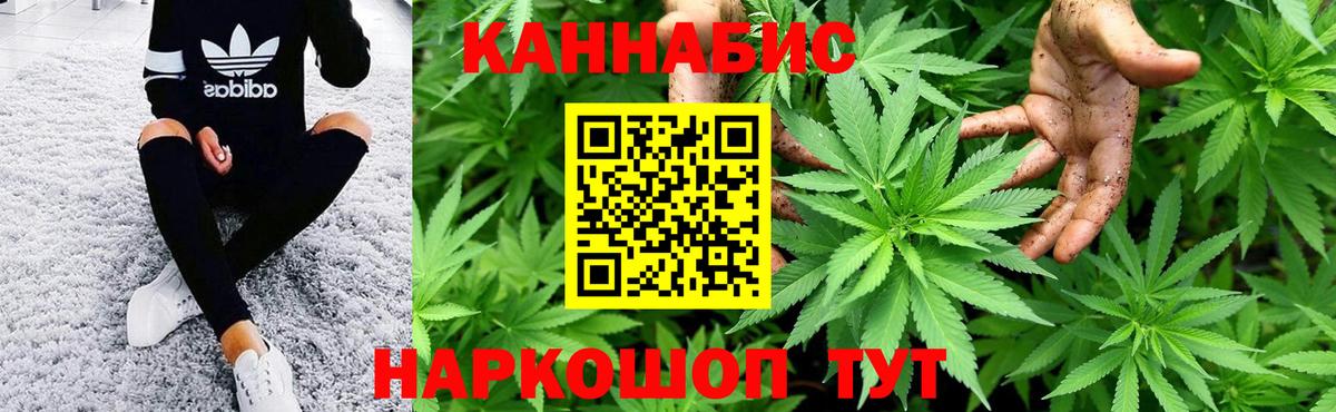 Конопля тримм  Конопля White Widow  Элиста  Конопля MAZAR  Вход с VPN 